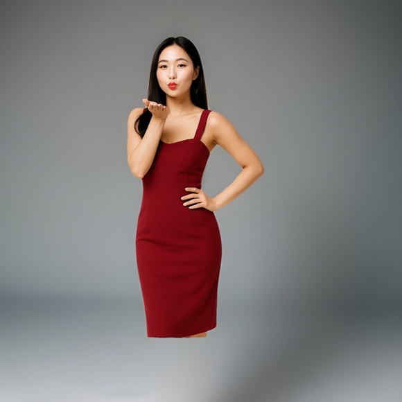 Dress the Population Burgundy Midi Dress - Picture 1 of 5